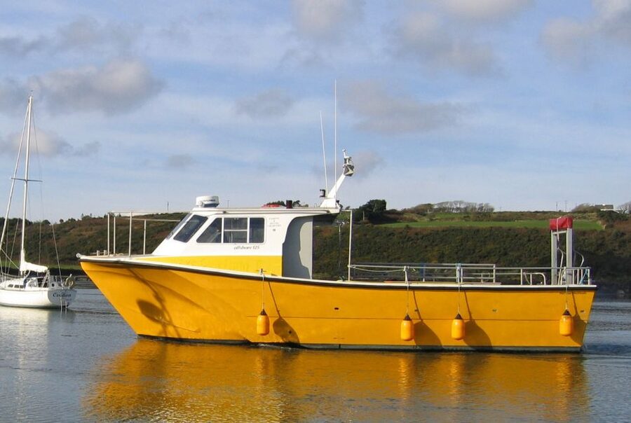 County Cork: Whale & Dolphin Watching Boat Trip - The honest tradeoff: wild animals are unpredictable