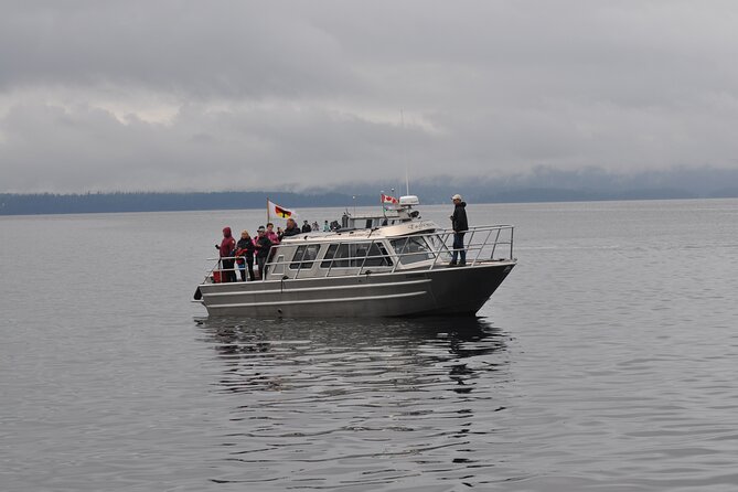 Covered Boat Whale Watching 4-Hour Tour from Campbell River - Snacks, Water, and Comfort During the Search
