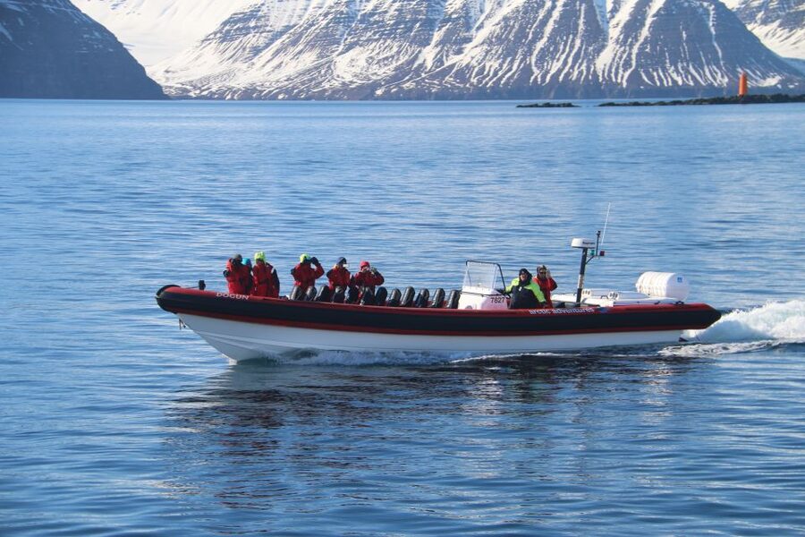 Dalvík: Whale Watching Speedboat Tour - FAQ