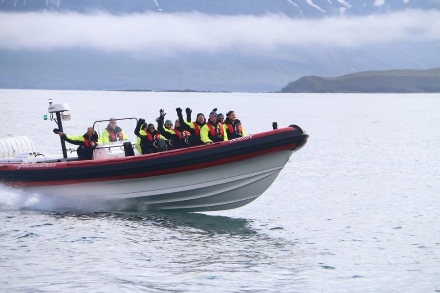 Dalvík: Whale Watching Speedboat Tour - Forty-five minutes of whale and dolphin watching