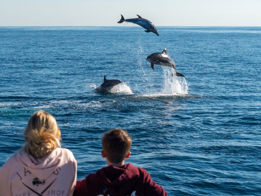 Dana Point Dolphin & Whale Watching With Underwater Viewing - Tram Nets Put the Water at Your Feet