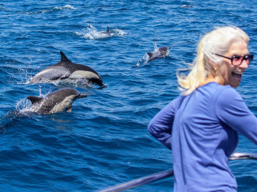 Dana Point Dolphin & Whale Watching With Underwater Viewing - What the Price Includes at $95