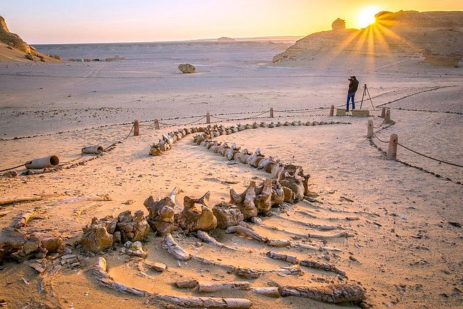 Day Trip to Valley of Whales from Cairo - Wadi El Hitan - Key points to know before booking