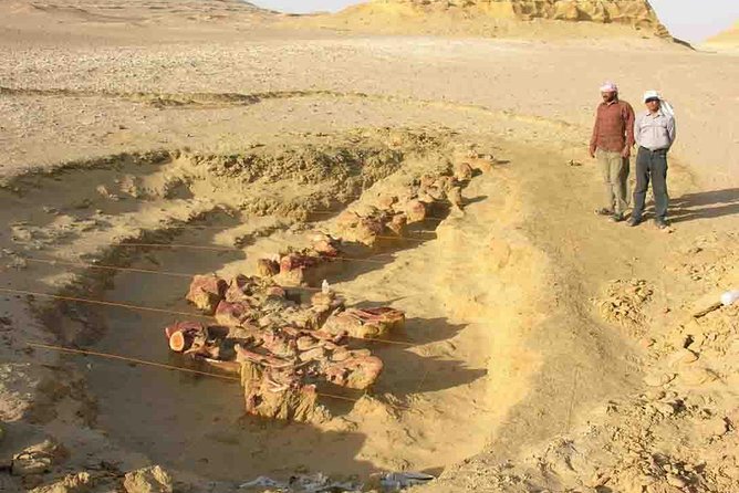 Day Trip to Valley of Whales from Cairo - Wadi El Hitan - The drive from Cairo and the switch to 4WD