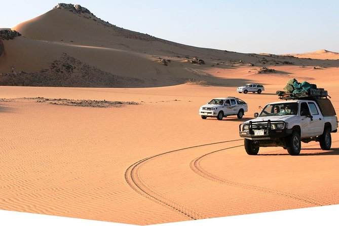 Day Trip to Valley of Whales from Cairo - Wadi El Hitan - Three hours among the whale skeletons