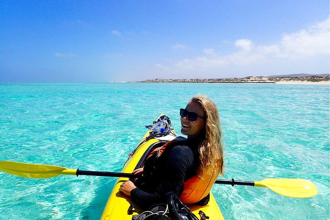 Deluxe Mega Fauna Humpback or Whaleshark Swim Ningaloo Reef - Lunch, equipment, and the value of the $430 price