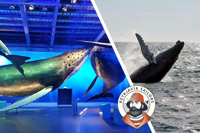 Deluxe Whale Watching and Whales of Iceland Exhibition Combo from Reykjavik - Seeing Whales of Iceland after the cruise