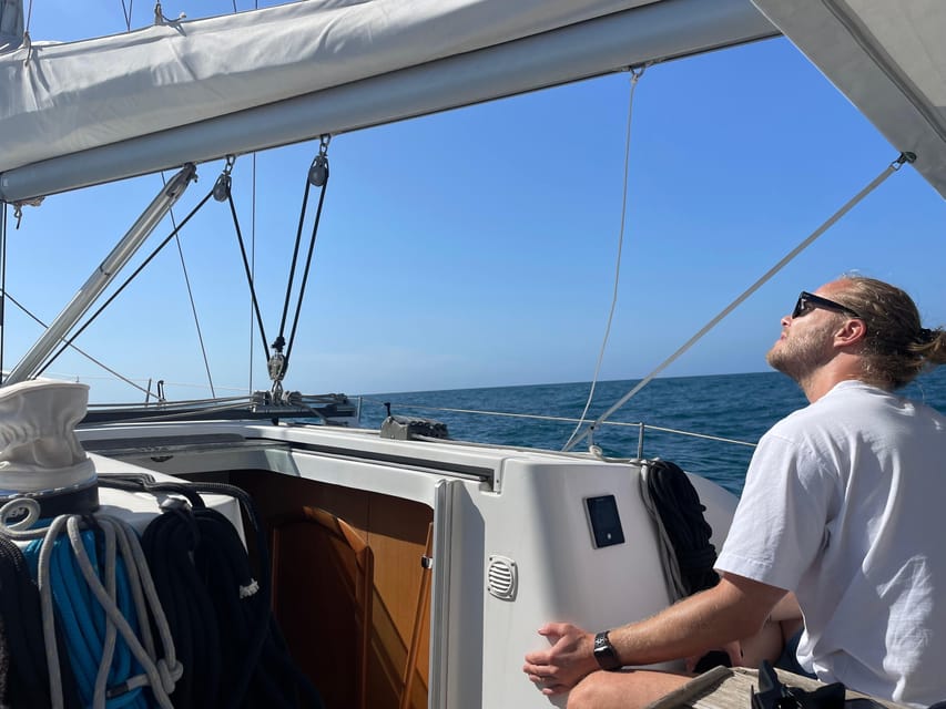 Denia: Whale and Dolphin Watching Morning Experience - Key points to know before booking