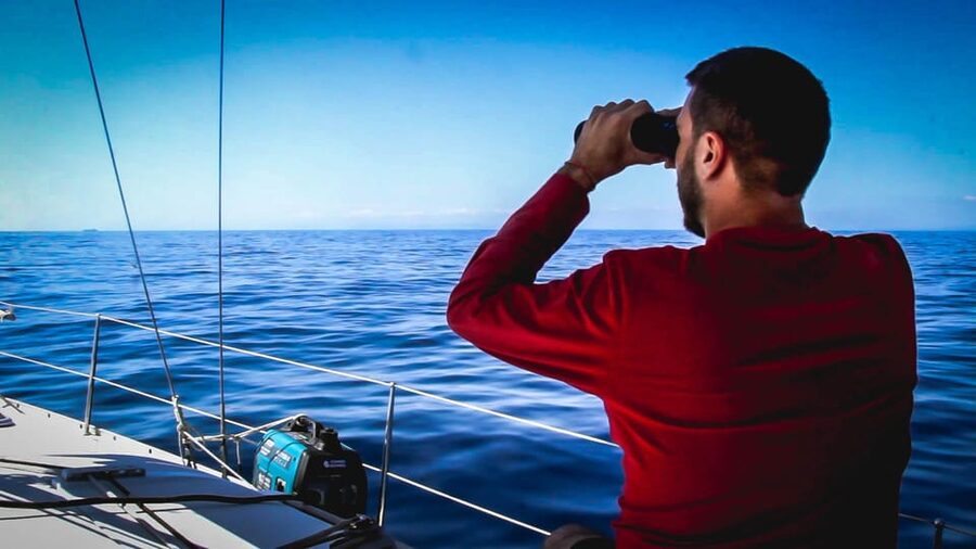 Denia: Whale and Dolphin Watching Morning Experience - Who should book this Denia boat trip?
