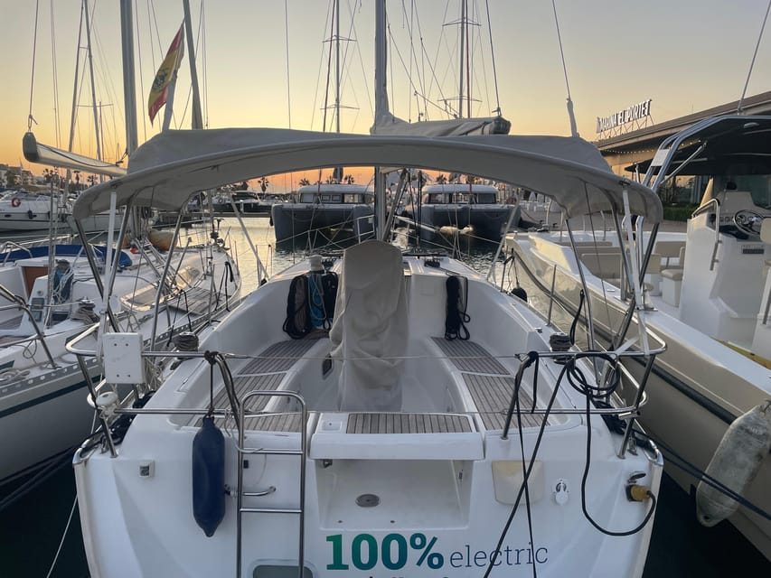 Denia: Whale and Dolphin Watching Morning Experience - Searching the coast for whales and dolphins