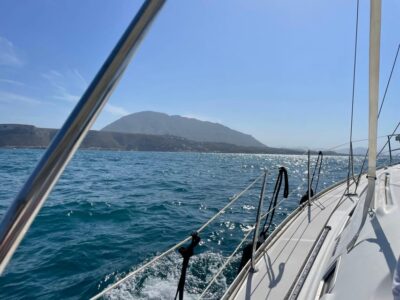 Denia: Whale and Dolphin Watching Morning Experience