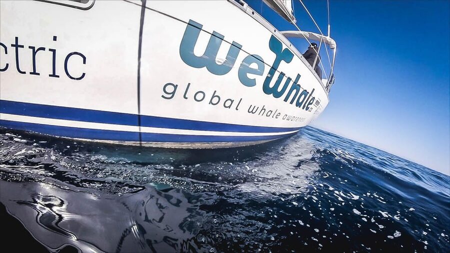 Denia: Whale and Dolphin Watching Morning Experience - What four hours feels like on the water