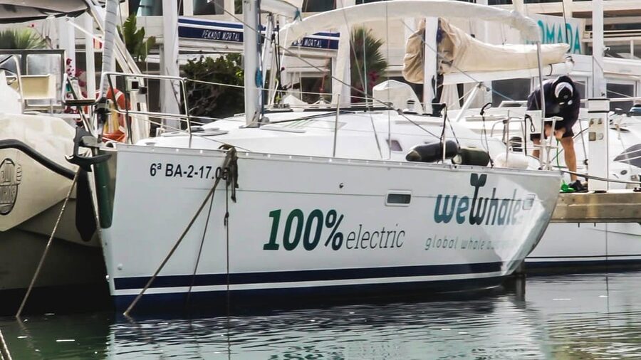 Denia: Whale and Dolphin Watching Morning Experience - The small group and the guide make the difference