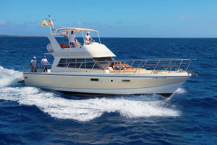 Discover whales in Tenerife: exclusive yacht tour with swim and lunch - A small yacht makes whale watching more personal
