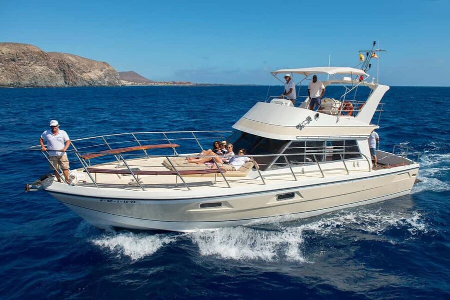 Discover whales in Tenerife: exclusive yacht tour with swim and lunch - The swim stop in clear coastal water