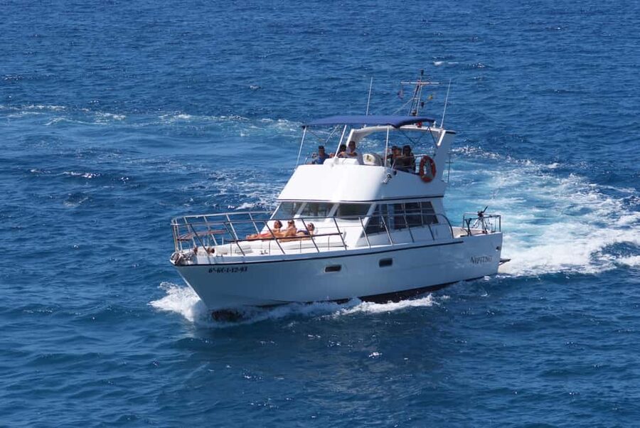 Discover whales in Tenerife: exclusive yacht tour with swim and lunch - Is $68 a fair price for three hours?
