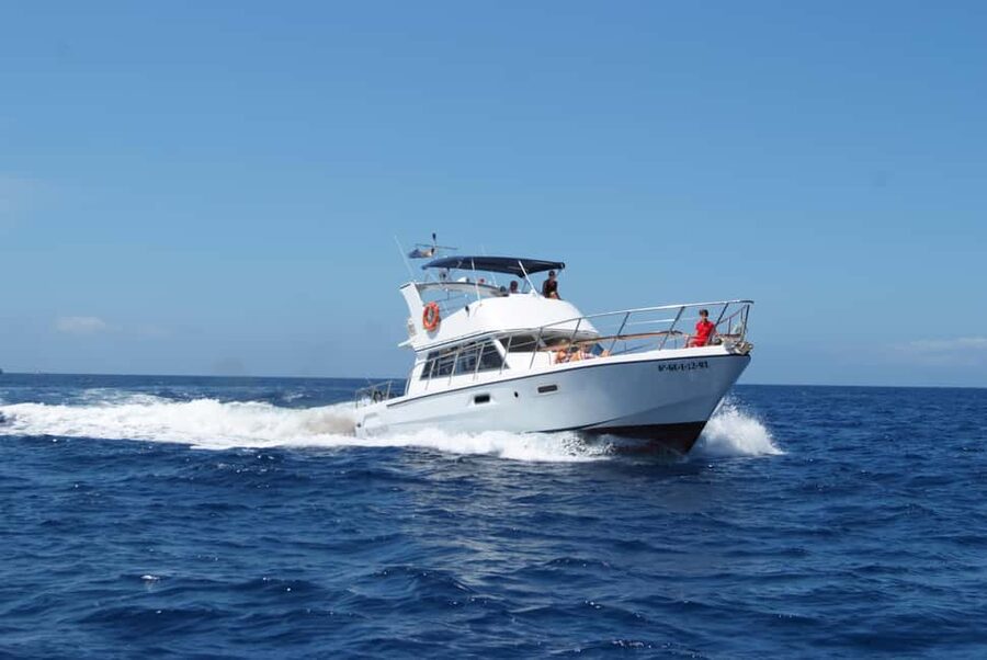 Discover whales in Tenerife: exclusive yacht tour with swim and lunch - Who should book this Tenerife yacht tour?