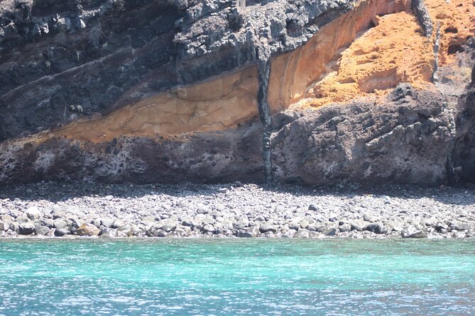 Dolphin and Whale Sailing Tour in Los Gigantes - Searching for pilot whales and dolphins