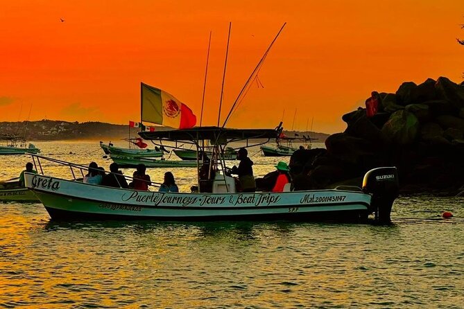 Dolphin and Whale Watching Boat Trip in Puerto Escondido - Searching for dolphins in open water