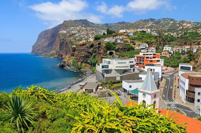 Dolphin and Whale Watching Catamaran Cruise from Funchal - Key things to know before sailing