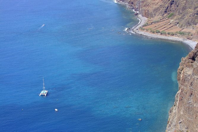Dolphin and Whale Watching Catamaran Cruise from Funchal - A catamaran with a bar and toilets