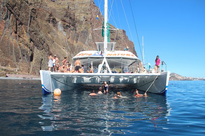 Dolphin and Whale Watching Catamaran Cruise from Funchal - Who should book this cruise?