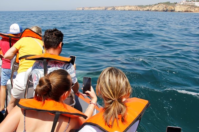 Dolphin and Whale Watching in Lagos - How to make the most of the 90 minutes