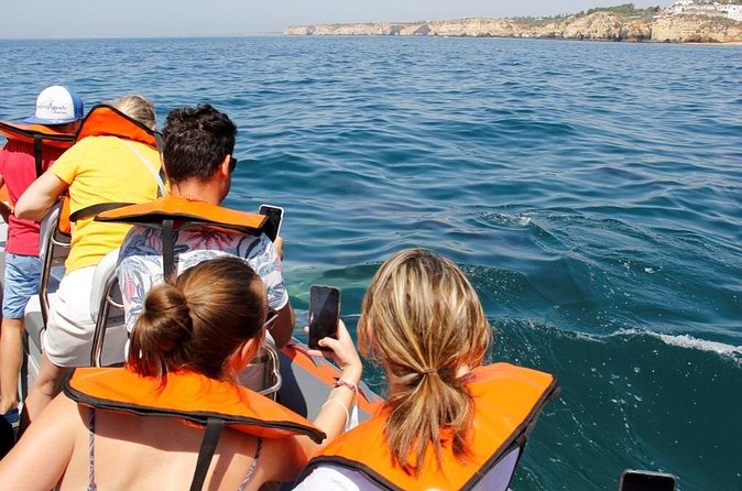 Dolphin and Whale Watching in Lagos - Weather, cancellation, and planning details