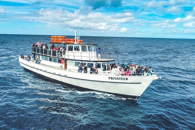 Dolphin and Whale Watching Sunset Cruise - What the sunset adds