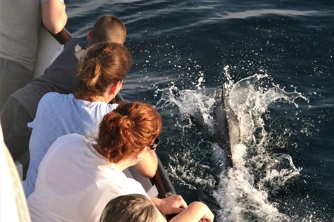 Dolphin and Whale Watching Sunset Cruise - Who will enjoy this cruise most?