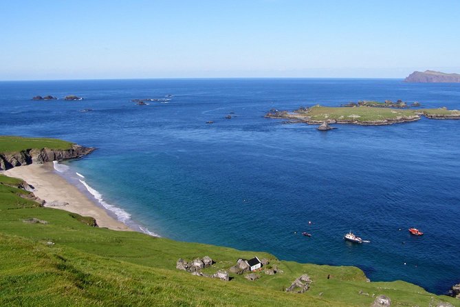 Dolphin and Whale Watching Tour from Dingle - Great Blasket Island and the outer islands