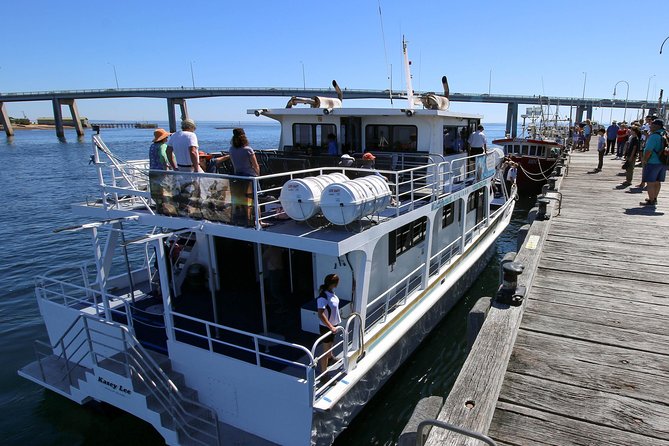 Dolphin & Whale Cruise - Cape Woolamai Old Granite Quarry in the first 10 minutes