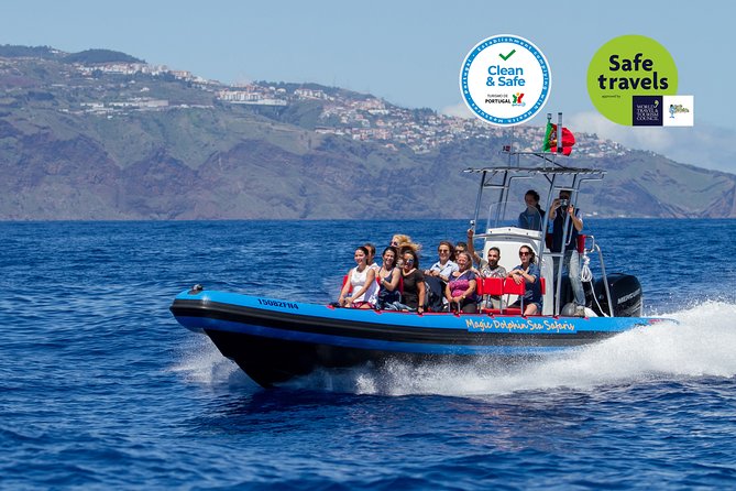 Dolphin - Whale - Turtle - Bird Watching - A small boat built for finding wildlife