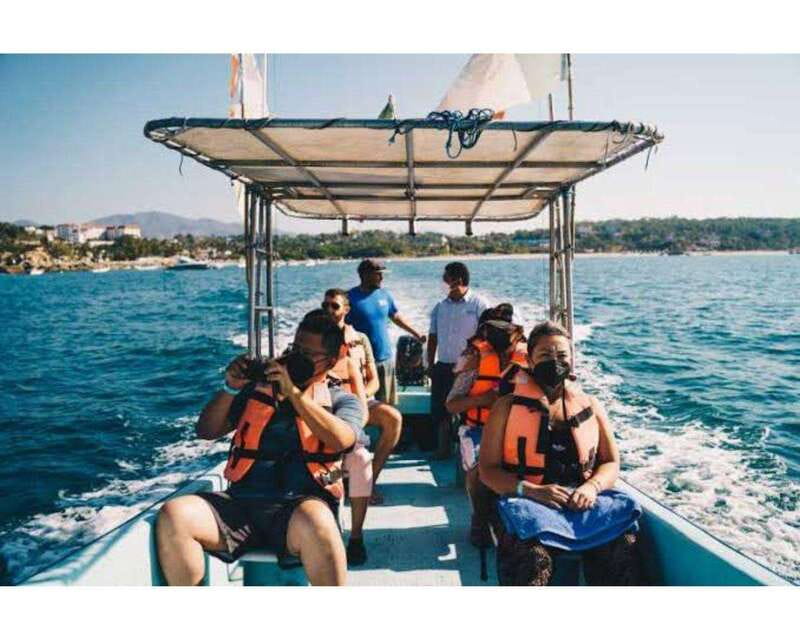 Dolphins and whales watching in Puerto Escondido. - Key points to know before booking