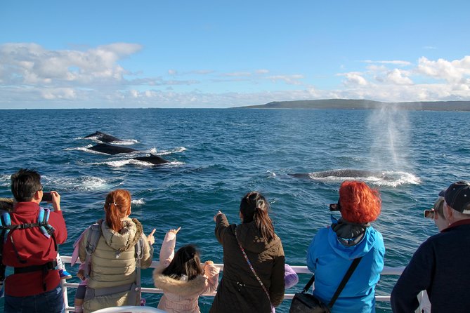Dunsborough Whale Watching Eco Tour - Key details before you book