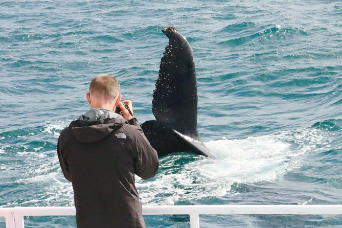 Dunsborough Whale Watching Eco Tour - Booking rules and the no-whale safeguard