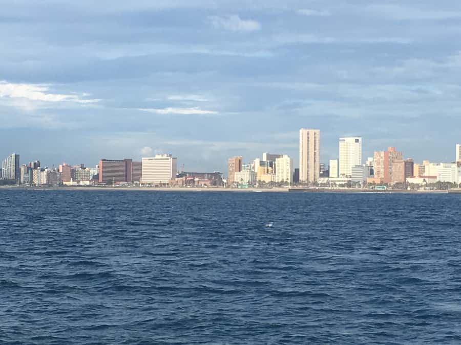 Durban: Durban: Whale and Dolphin Watching Boat Tour - What the guide adds to two hours at sea