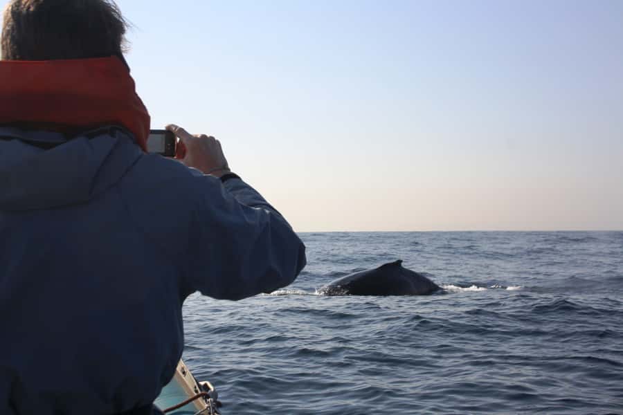 Durban: Durban: Whale and Dolphin Watching Boat Tour - Is $102 a fair price?