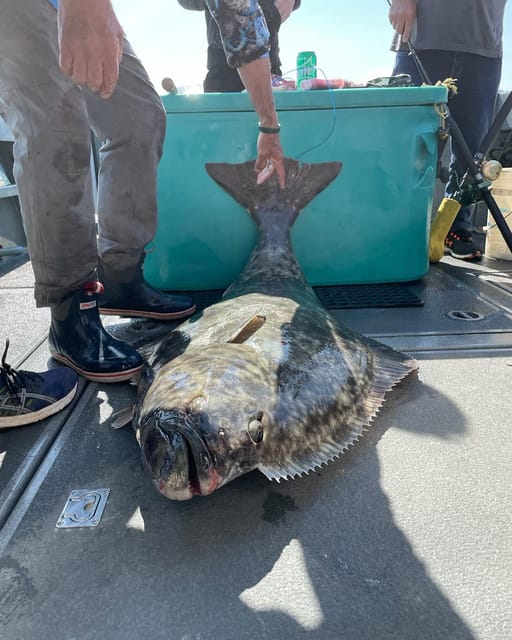Ear Mountain Charters tours: whale watching or fishing - Choosing between whales and Alaska fishing