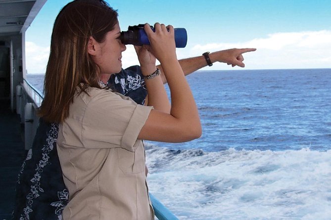 Early Bird Whale Watching Cruise from Waikiki - Getting comfortable aboard the Star of Honolulu
