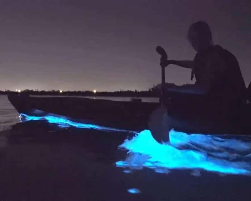Eastsound: Orcas Island Bioluminescent Kayak Tour - The first paddle into the night