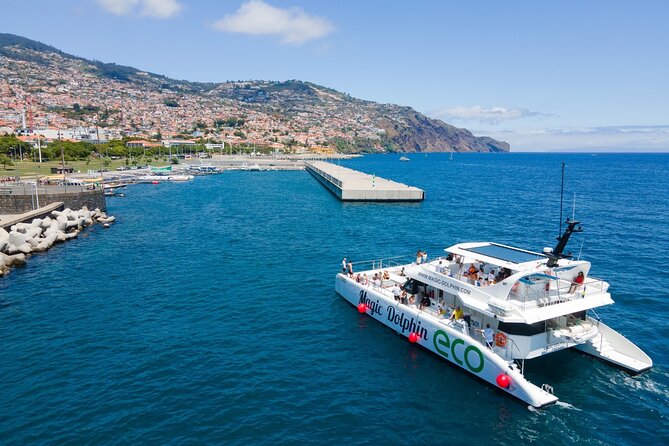 Eco-Friendly Catamaran Dolphin and Whale Watching - Is the $42.34 price good value?