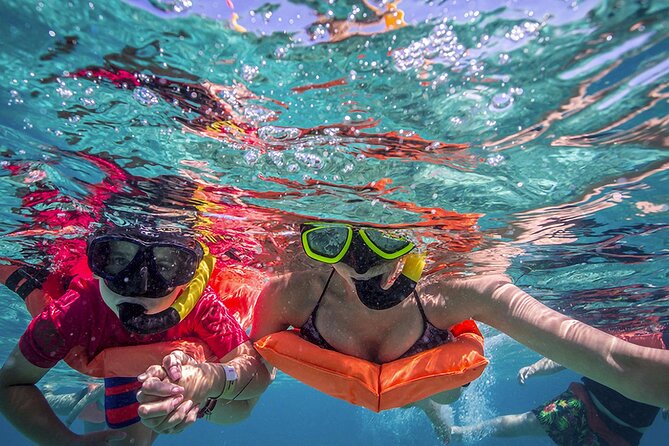 Eco Whale Shark Encounter - Is the $452 price good value?