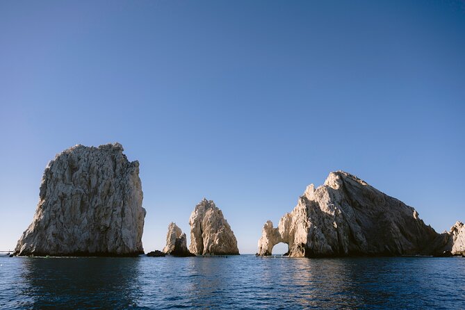 Educational Sunrise Whale Watching with Photos Included - Practical value, timing, and cancellation terms