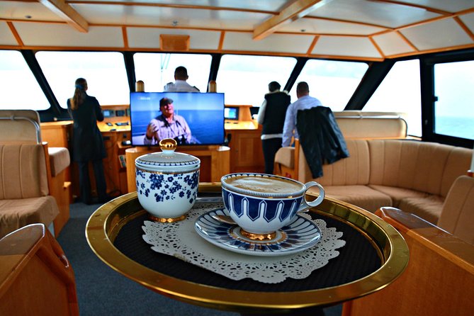 Educational Whale Watching Tour from Perth - Weather, cold, and the reality of the ocean