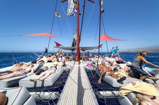 Exclusive Freebird Catamaran Whale and Dolphin Cruise to Caleta - Pickup, timing, and what to bring