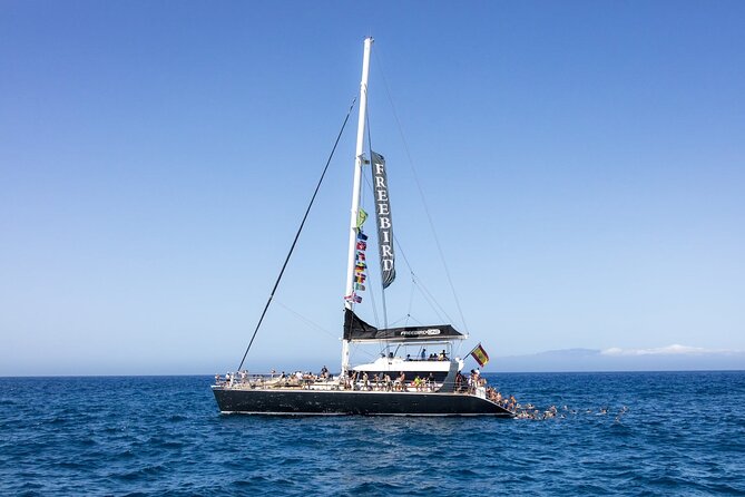 Exclusive Freebird Catamaran Whale & Dolphin to Masca From South - Setting out from Puerto Colón at 11:20 a.m.