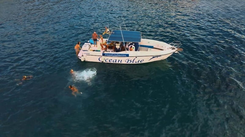 Excursion to see the whales - 3 Hours - Key points to know before you book