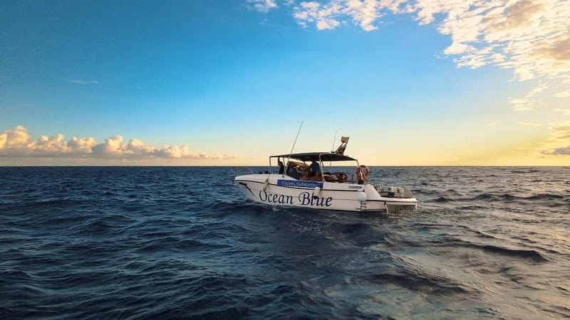 Excursion to see the whales - 3 Hours - Three hours on Tenerife’s Atlantic coast