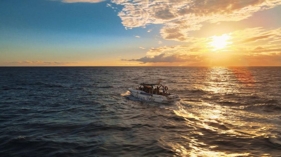 Excursion to see the whales - 3 Hours - Practical timing and booking advice